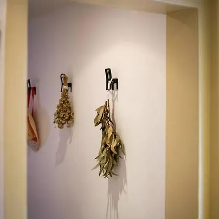 Balcony In Center شقة